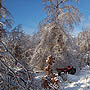Mtn. Bob is a Grandfather - last post by MtRider